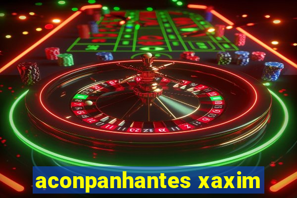 aconpanhantes xaxim